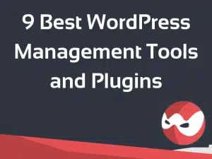 9 Best WordPress Management Tools and Plugins