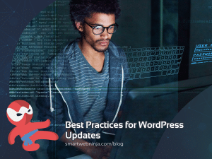 Best Practices for WordPress Updates