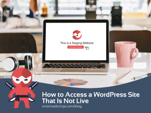 How to Access a WordPress Site That Is Not Live