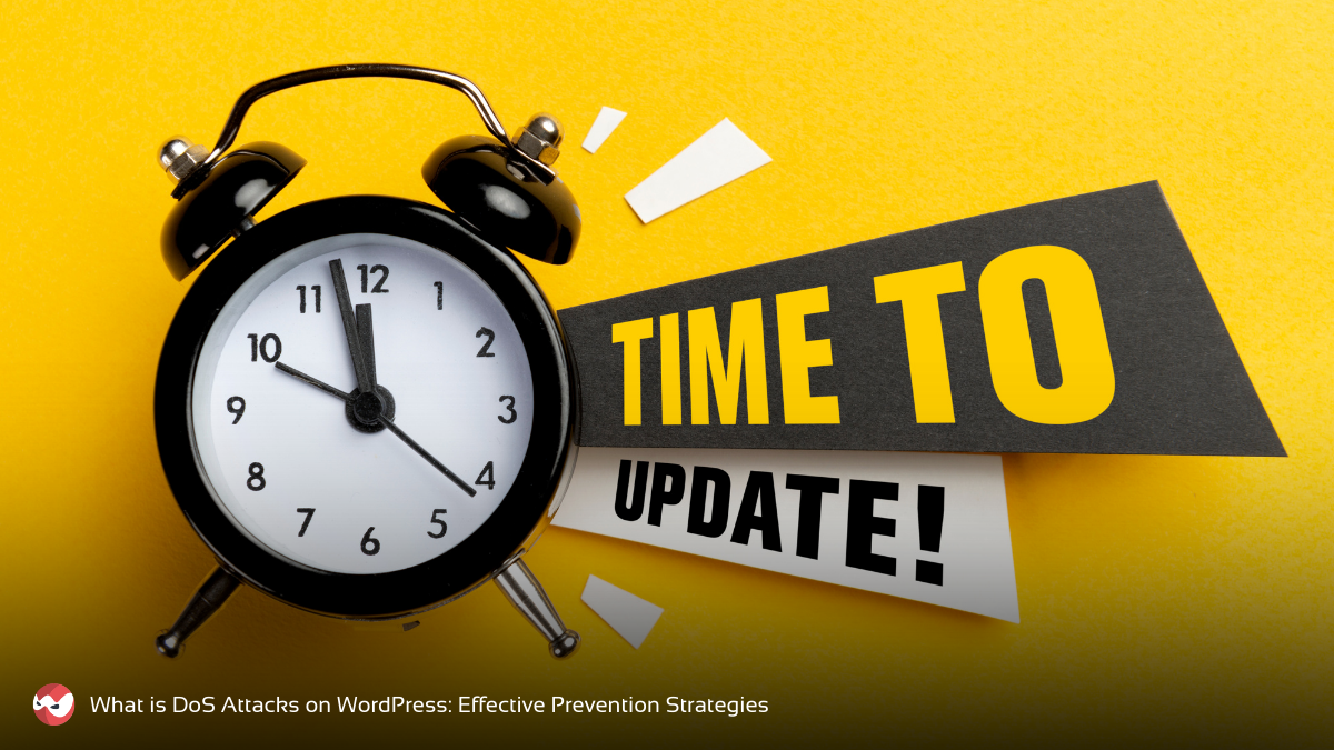 Regular Updates and Maintenance